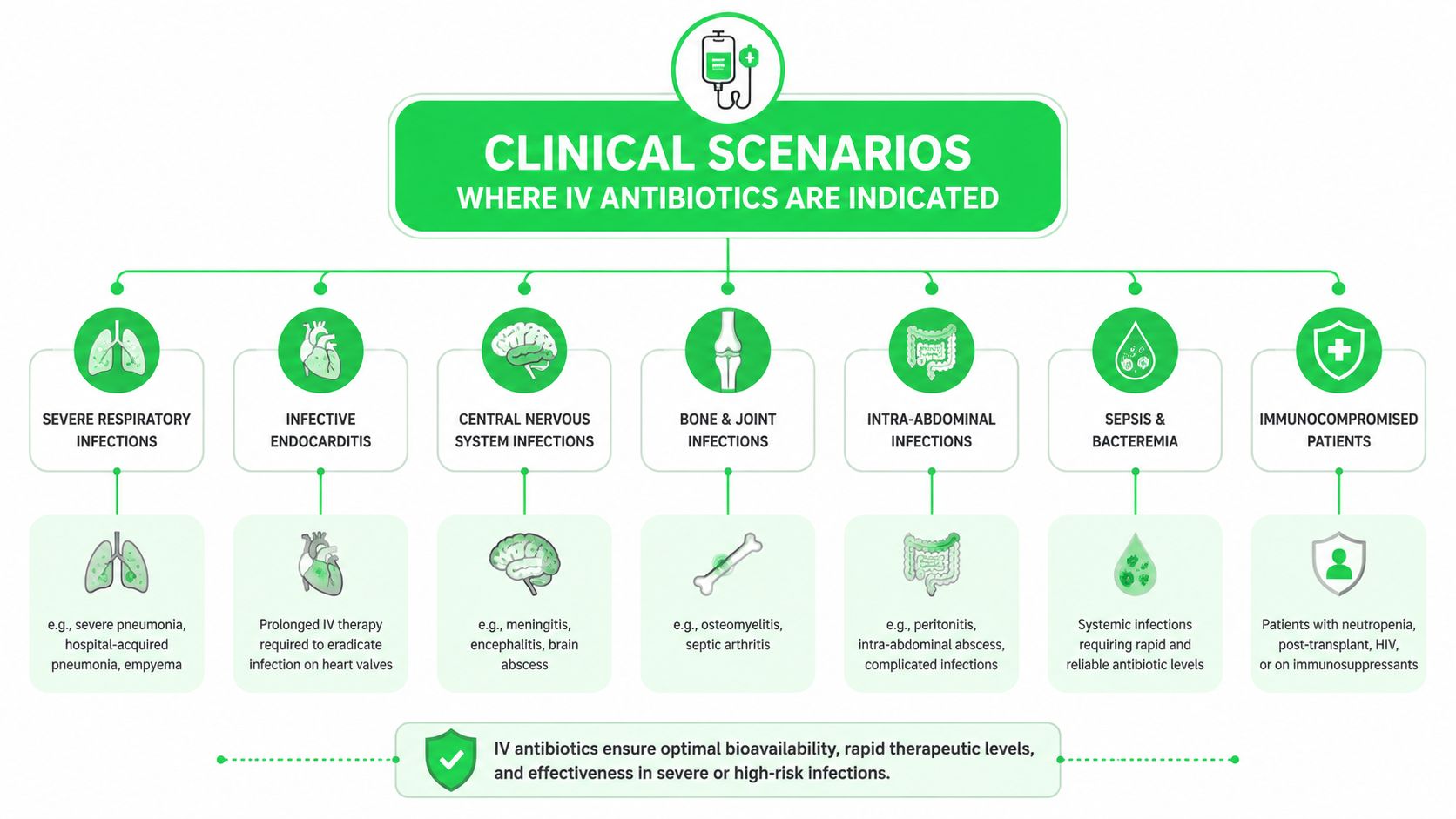 IV Drip Antibiotics: A Safe Use Guide 5 An infographic showing common clinical scenarios and conditions that indicate the use of intravenous antibiotics.