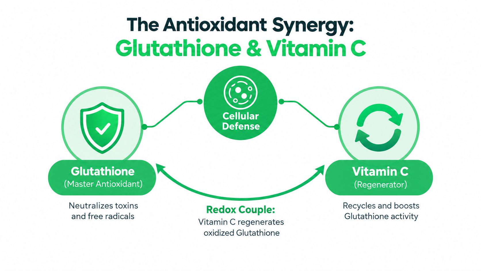 A diagram illustrating the antioxidant synergy between Glutathione and Vitamin C for effective cellular defense mechanisms.