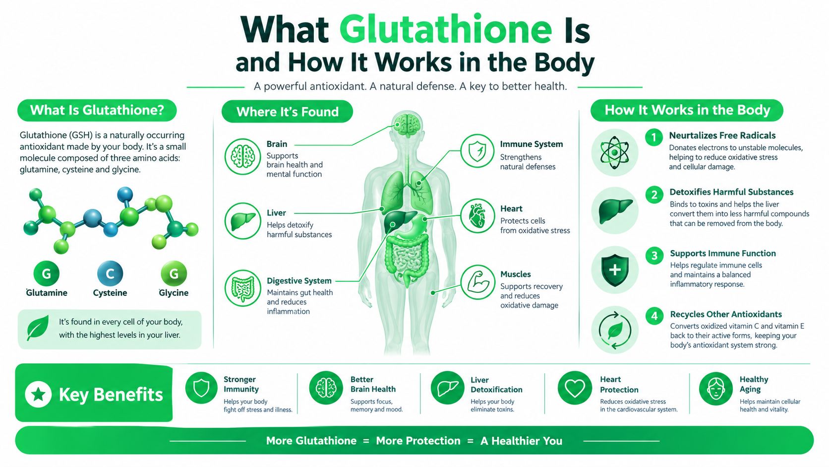 Glutathione Injection Dubai Guide to Safety and Home Care 5 An infographic detailing the benefits, bodily functions, and chemical structure of the antioxidant glutathione.
