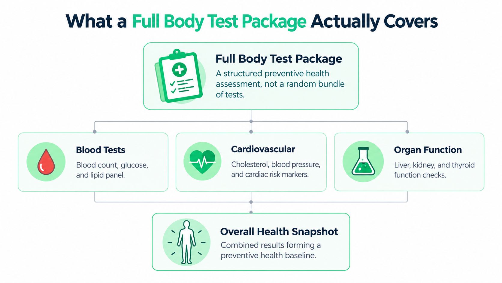 A diagram illustrating what a full body test package covers, including blood tests, cardiovascular health, and organ function.